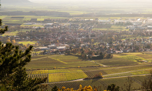 Traumrunde mit Blick vom Schwanberg über die Iphöfer Weinberge und die Stadt Iphofen